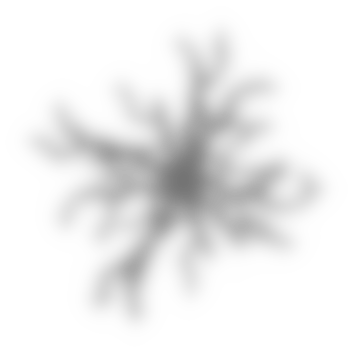 White-tree-shadow.png